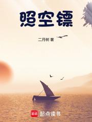 照空镖 照空镖